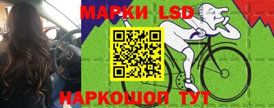 гидропоника Жуковский