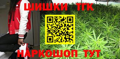 амф Заволжье