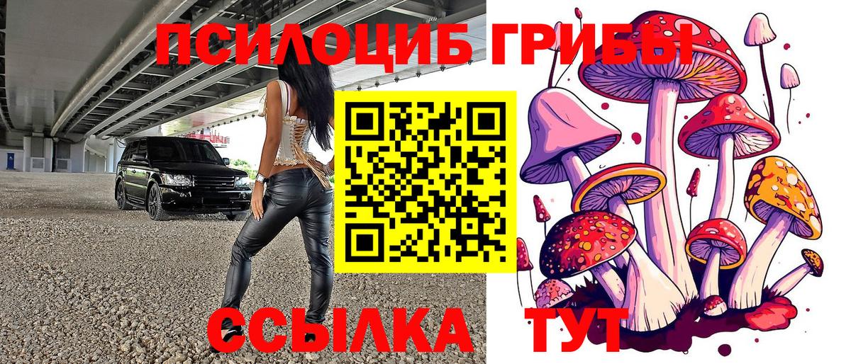 Галлюциногенные грибы мицелий Старая Русса