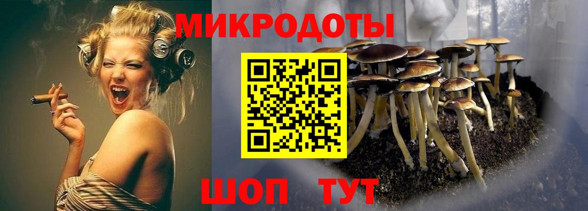 Галлюциногенные грибы мухоморы  Вход с VPN  Псилоцибиновые грибы Psilocybine cubensis  Старая Русса 