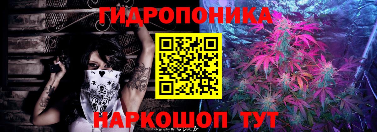 Конопля ГИДРОПОН Старая Русса
